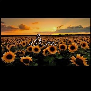 Meet your Posher, Bibi